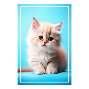 Adorable Kitten mit blauem Hintergrund Fotodruck