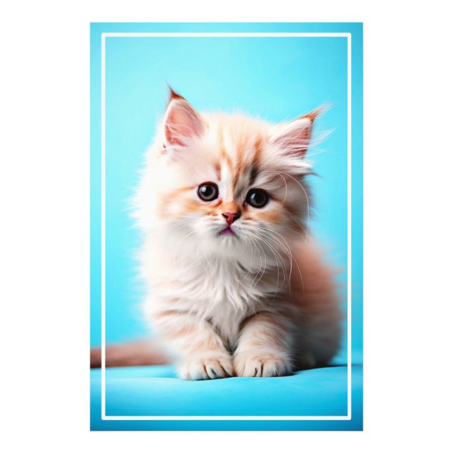 Adorable Kitten mit blauem Hintergrund Fotodruck (Vorne)