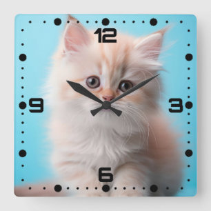 Adorable Kitten mit blauem Hintergrund Quadratische Wanduhr