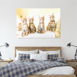 Adorable Kittens Canvas Print Picture 7 Leinwanddruck