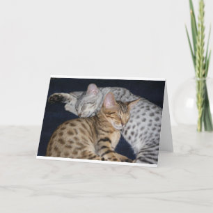 ADORABLE KITTENS KARTE