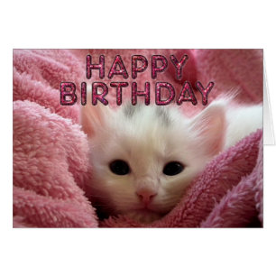 Adorable kitty bleibe warm