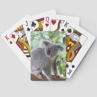 Adorable Koala Bärenbaum Grüne Blätter Spielkarten