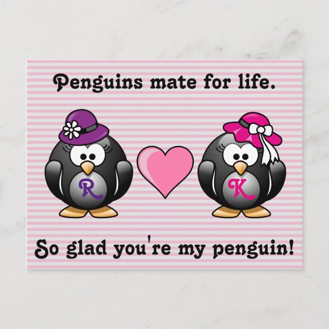 Adorable Lesbian Pinguine Zwei-Brides-Herz-Hut Postkarte (Vorderseite)