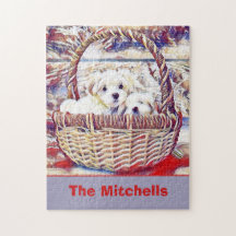 Adorable Maltese Puppy Lover