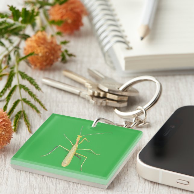 Adorable Mantis Schlüsselanhänger (Vorderseite rechts)