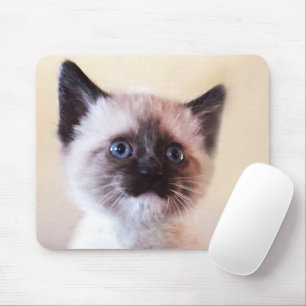 Adorable Masked Blue Mit Augen Siam Kitten Nah-Up Mousepad