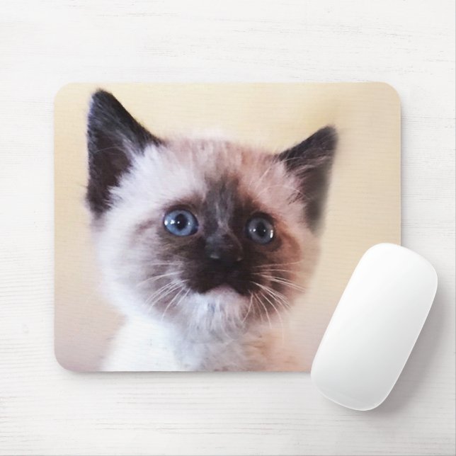 Adorable Masked Blue Mit Augen Siam Kitten Nah-Up Mousepad (Mit Mouse)