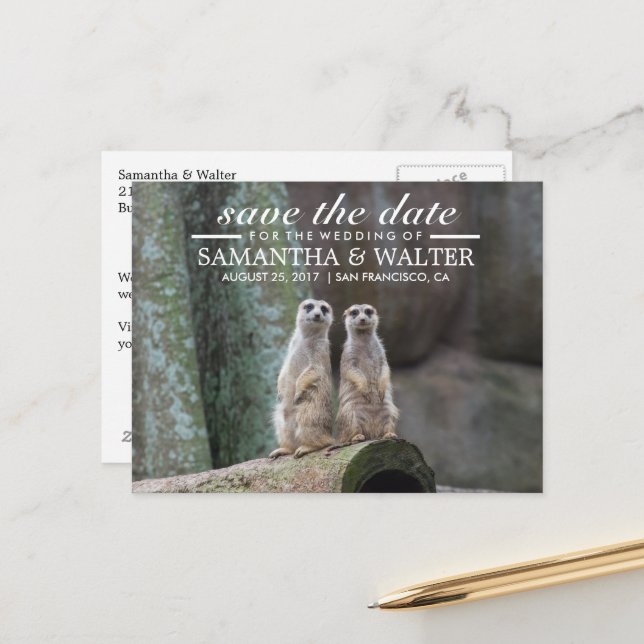 Adorable Meerkats Save the Date Ankündigungspostkarte (Vorderseite/Rückseite Beispiel)
