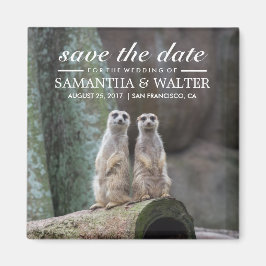 Adorable Meerkats Save the Date Magnet