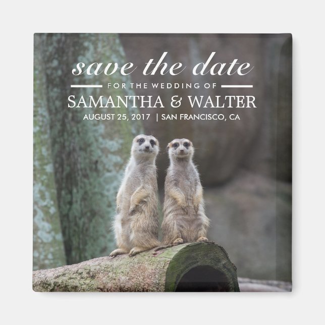 Adorable Meerkats Save the Date Magnet (Vorne)