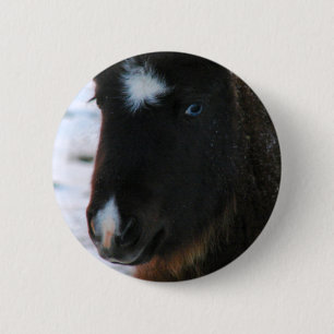 Adorable Mini Horse Fill Button