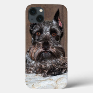 Adorable Mini Schnauzer Portrait auf iPad Case