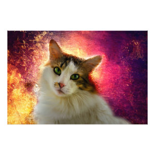 Adorable Niedlich Calico Cat Fotodruck