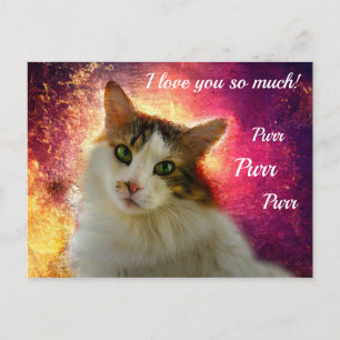 Adorable Niedlich Calico Cat Postkarte