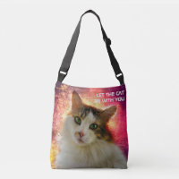 Adorable Niedlich Calico Cat