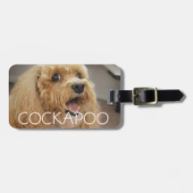 Adorable Niedlich Cockapoo Hund lächeln Personalis