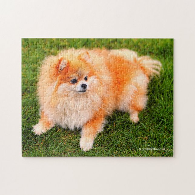 Adorable Niedlich Spitz Welpenhund Puzzle (Horizontal)