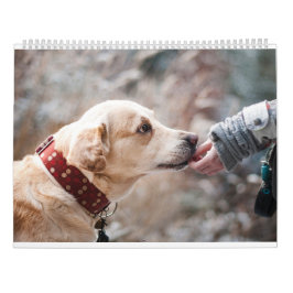 Adorable Niedliche Hunde und Welpen Fotografie Kalender