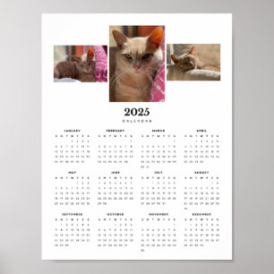 Adorable Orange Tabby Cat Ginger 2025 Kalender Poster