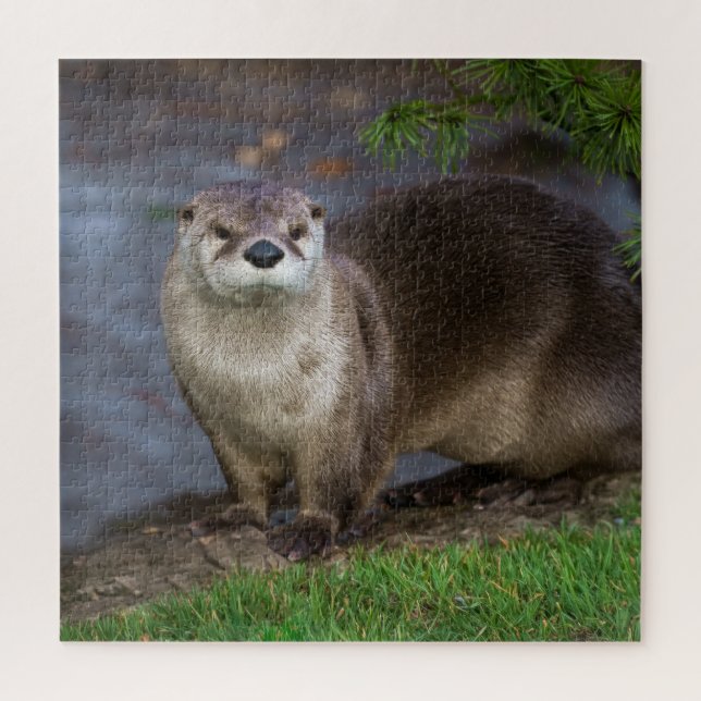 Adorable Otter am Ufer Puzzle (Vertikal)