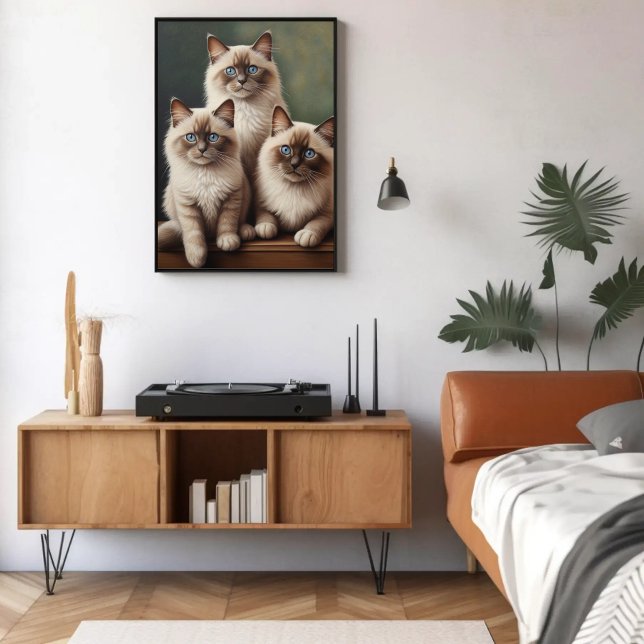 Adorable Pair Ragdoll Kittens Sweet Cat Poster (Von Creator hochgeladen)