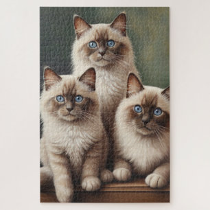 Adorable Pair Ragdoll Kittens Sweet Cat Puzzle