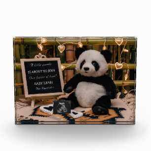 Adorable Panda Plushie Pregnancy Ankündigung Fotoblock