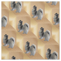 Adorable Papillon Hund auf Gold Cubes