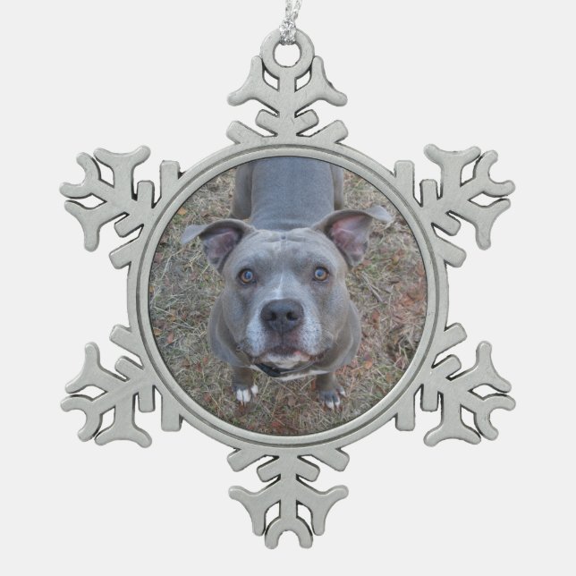 Adorable Pitbull Weihnachtsschmuck Schneeflocken Zinn-Ornament (Vorderseite)