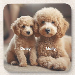 Adorable Poodle Personalisiert Untersetzer Set