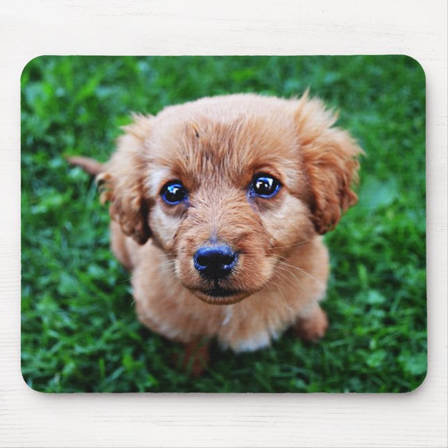 Adorable Puppy Photo Mousepad (Vorne)