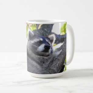 Adorable Raccoon in einem Baum Kaffeetasse