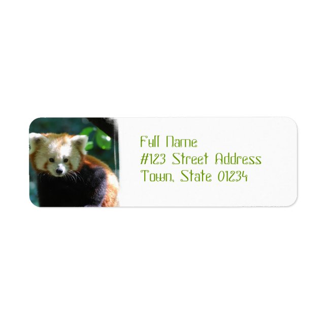 Adorable Red Panda Address Labels (Vorne)