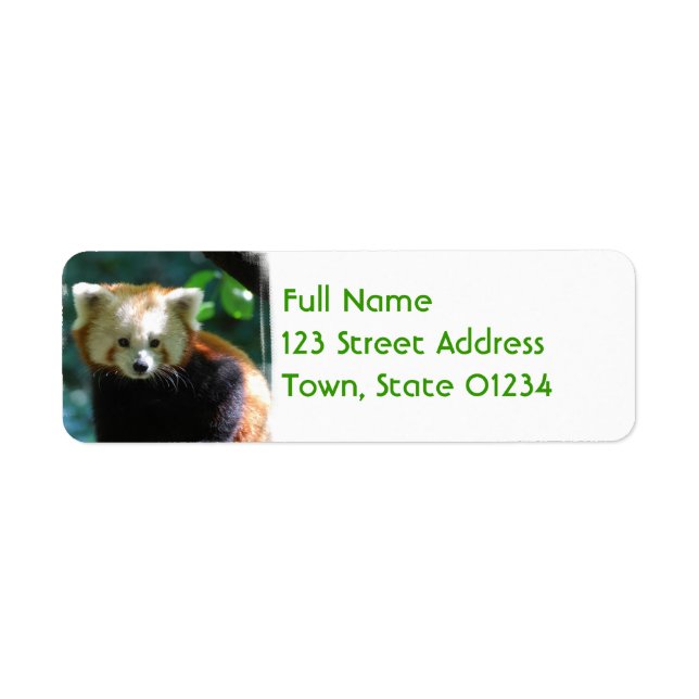 Adorable Red Panda Mailing Labels (Vorne)