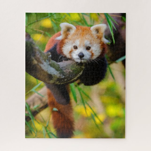 Adorable Red Panda Puzzle  (Vertikal)