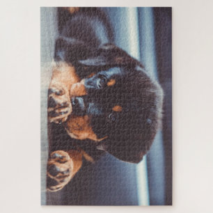 Adorable Rottweiler Welpenschweif Puzzle