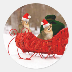 Adorable Santa Baby Chipmunks in Sleigh Runder Aufkleber