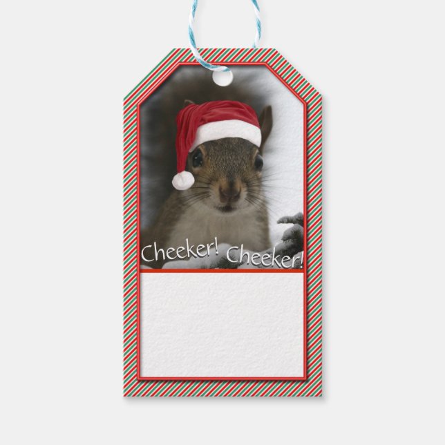 Adorable Santa Squirrel™ Weihnachtsmannmütze trage Geschenkanhänger (Vorderseite)