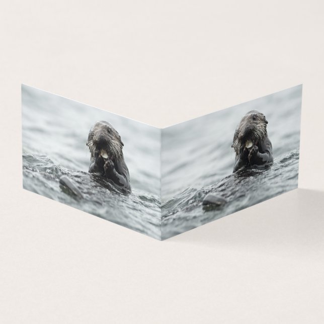 Adorable Sea Otter (Vorderseite)