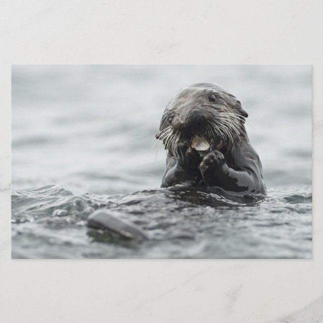 Adorable Sea Otter Briefpapier (Vorderseite)