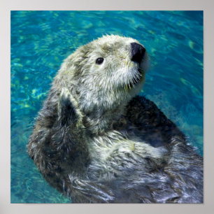 Adorable Sea Otter Cute Blue Water Poster