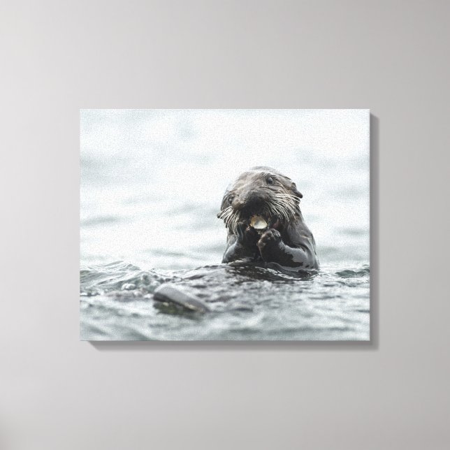 Adorable Sea Otter Leinwanddruck (Vorderseite)