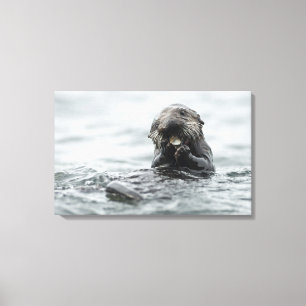Adorable Sea Otter Leinwanddruck
