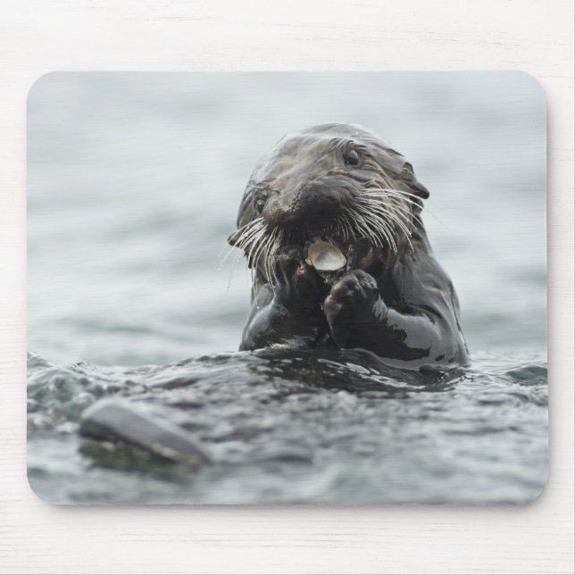 Adorable Sea Otter Mousepad (Vorne)