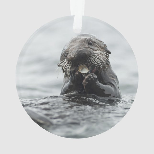 Adorable Sea Otter Ornament (Rückseite)
