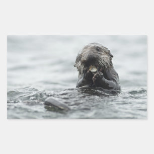 Adorable Sea Otter Rechteckiger Aufkleber