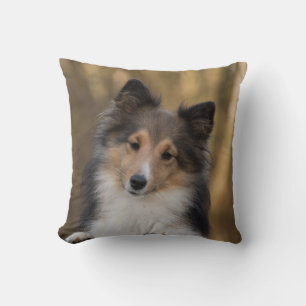 Adorable Sheltie Kissen