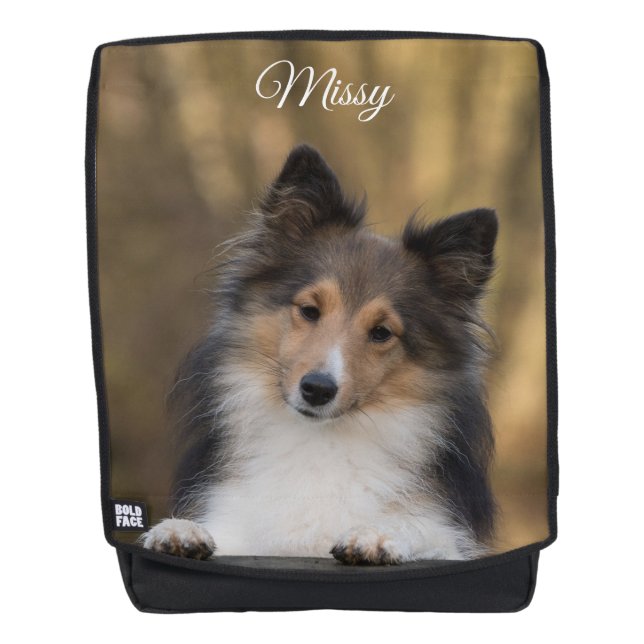 Adorable Sheltie *personalize* Rucksack (Vorderseite)