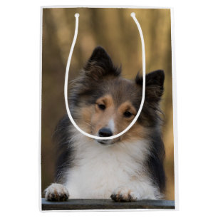 Adorable Sheltie, Shetland Sheepdog Mittlere Geschenktüte